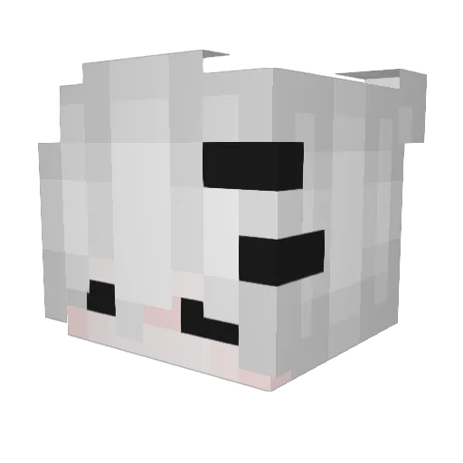 floopaloopa Minecraft avatar head, 3D render