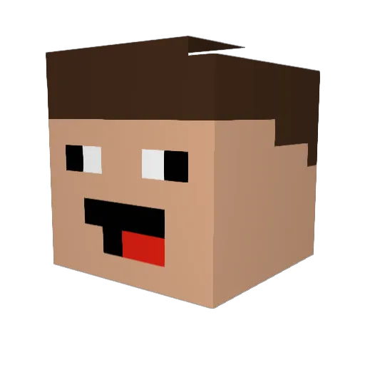 floorball123 Minecraft avatar head, 3D render