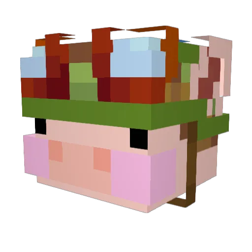 flooryo Minecraft avatar head, 3D render