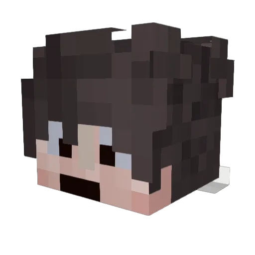 flopner Minecraft avatar head, 3D render