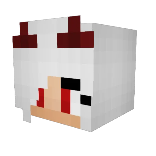floppy138 Minecraft avatar head, 3D render