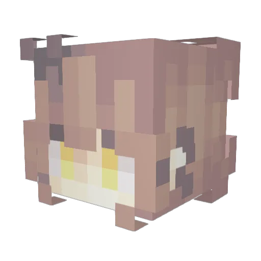 floppywaffle02 Minecraft avatar head, 3D render