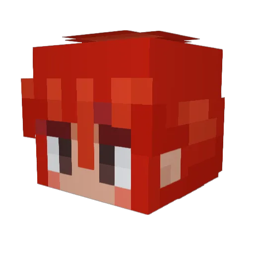 flopsy31 Minecraft avatar head, 3D render
