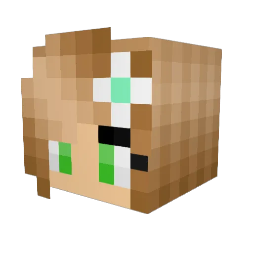 flora1026 Minecraft avatar head, 3D render