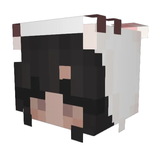 floraal Minecraft avatar head, 3D render