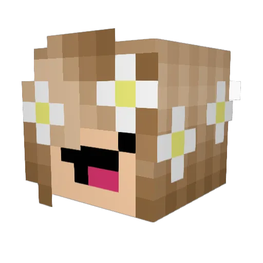 floral11 Minecraft avatar head, 3D render