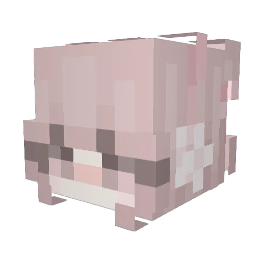 floralfaye Minecraft avatar head, 3D render
