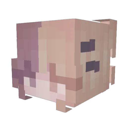 florence1_ Minecraft avatar head, 3D render