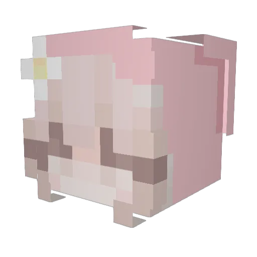 floresia Minecraft avatar head, 3D render