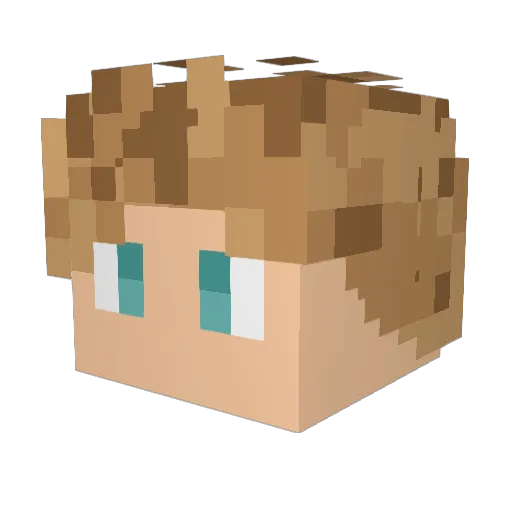 flori4n_ Minecraft avatar head, 3D render
