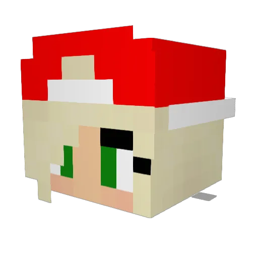flori_cat123 Minecraft avatar head, 3D render
