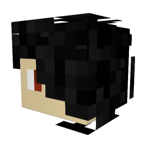 florian223 Minecraft avatar head, 3D render