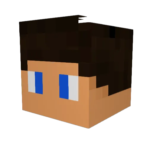 florian9934 Minecraft avatar head, 3D render