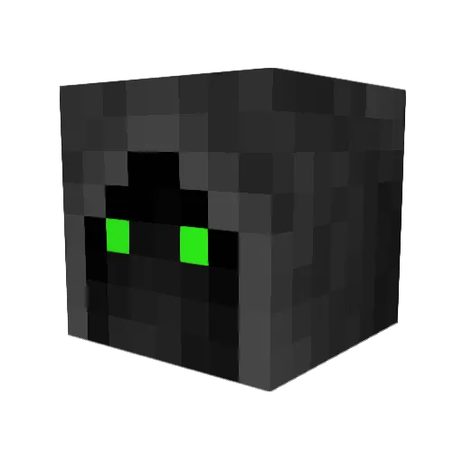 florian_1111 Minecraft avatar head, 3D render