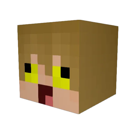 florianfinn Minecraft avatar head, 3D render
