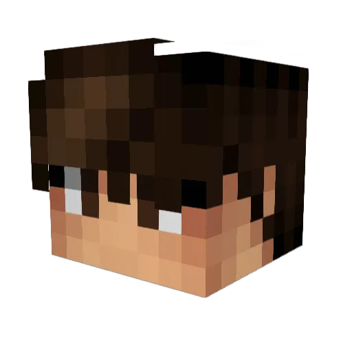 floriiqn Minecraft avatar head, 3D render