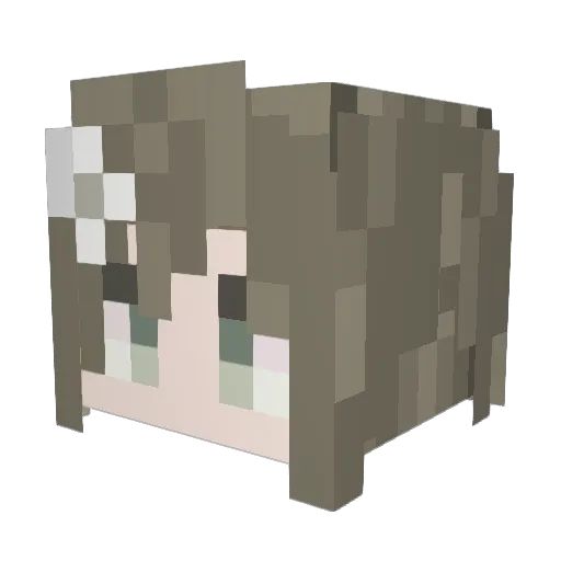 floriogr4phy Minecraft avatar head, 3D render