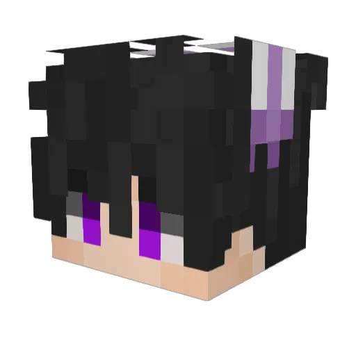 floristbasil Minecraft avatar head, 3D render