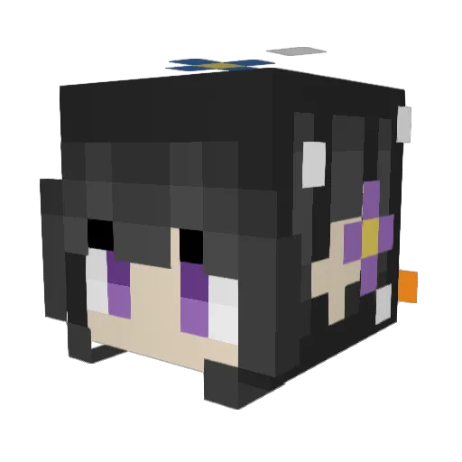 florpyglorp Minecraft avatar head, 3D render