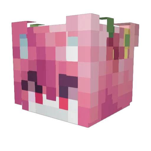 flortedfaefay Minecraft avatar head, 3D render