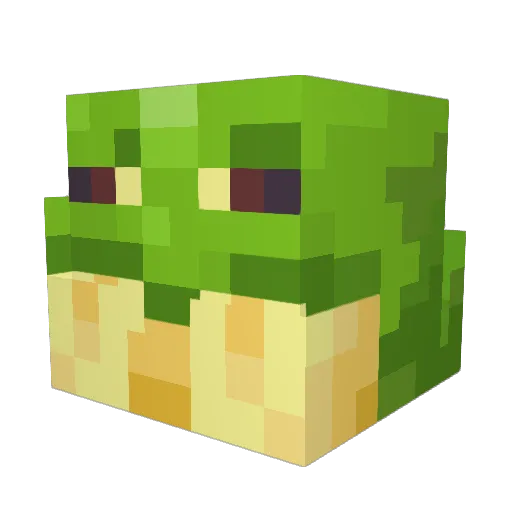 flosSser Minecraft avatar head, 3D render