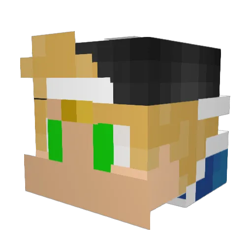 flossondem Minecraft avatar head, 3D render