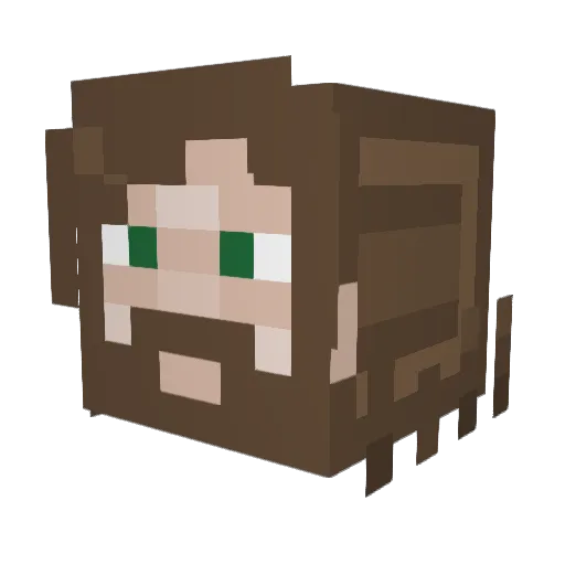 flotnis Minecraft avatar head, 3D render