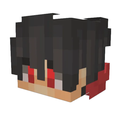 flotzinho Minecraft avatar head, 3D render