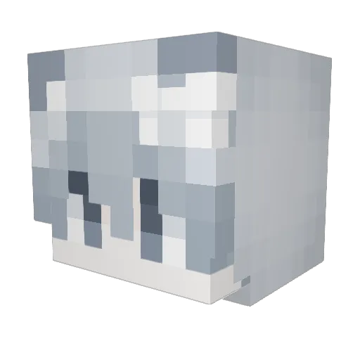 flover_f9 Minecraft avatar head, 3D render