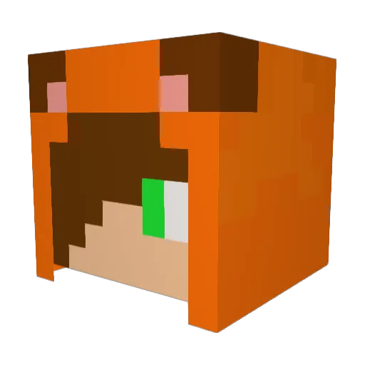flow2120 Minecraft avatar head, 3D render
