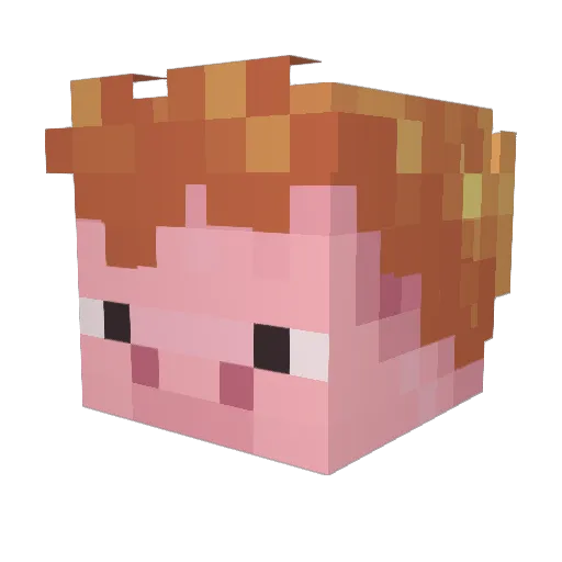 flow3r7 Minecraft avatar head, 3D render