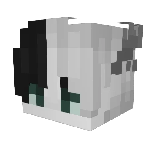 flowO305 Minecraft avatar head, 3D render
