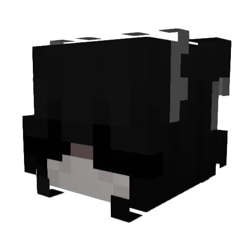 flower1206 Minecraft avatar head, 3D render