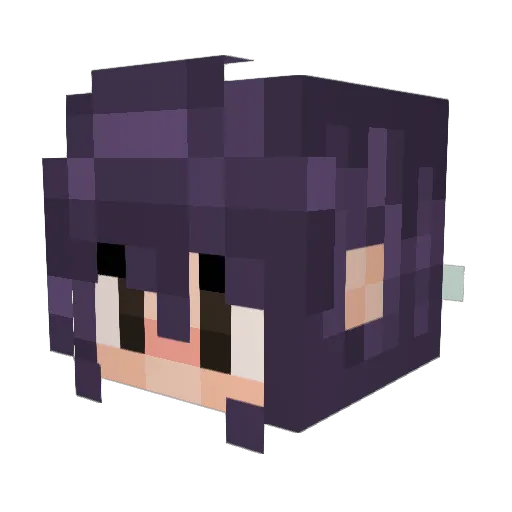 flower81 Minecraft avatar head, 3D render