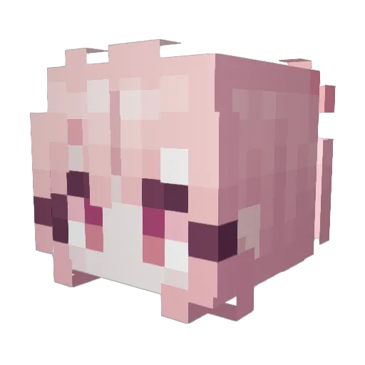 flower_seul Minecraft avatar head, 3D render