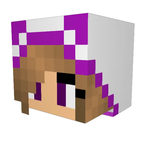 flowerbloem Minecraft avatar head, 3D render