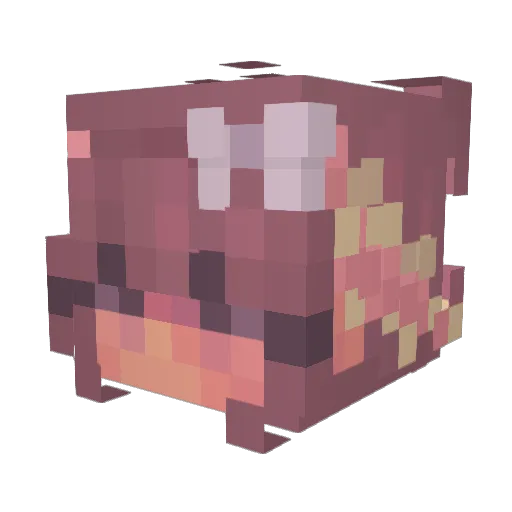 flowerc1ty Minecraft avatar head, 3D render