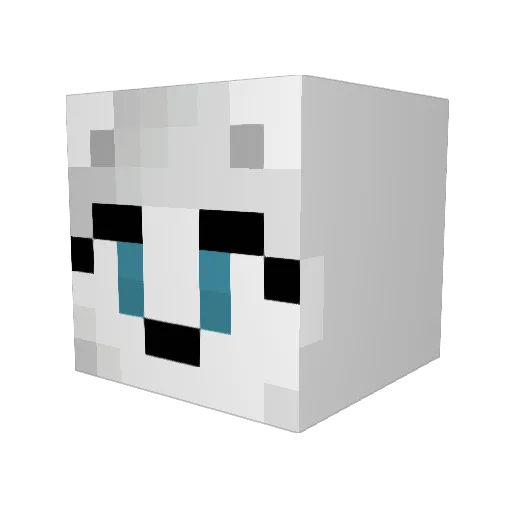 flowerdog121 Minecraft avatar head, 3D render