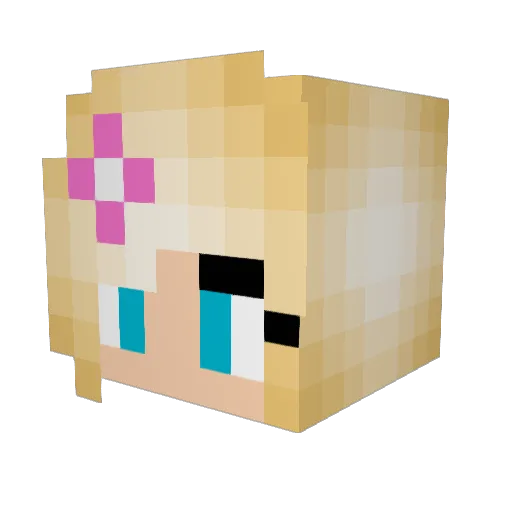 flowers0530 Minecraft avatar head, 3D render