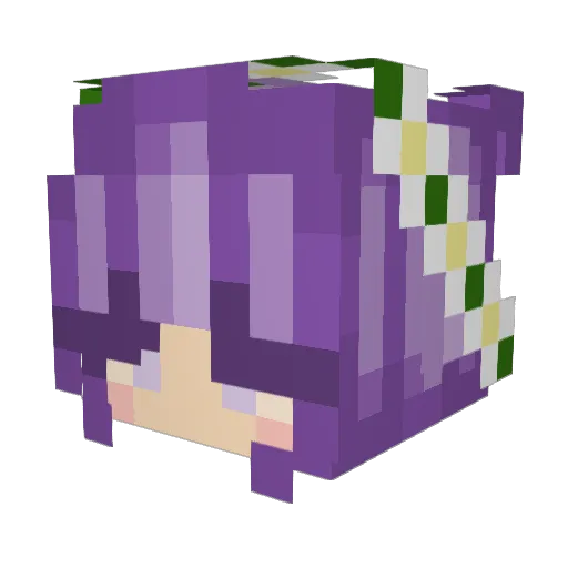 flowers4mybrain Minecraft avatar head, 3D render