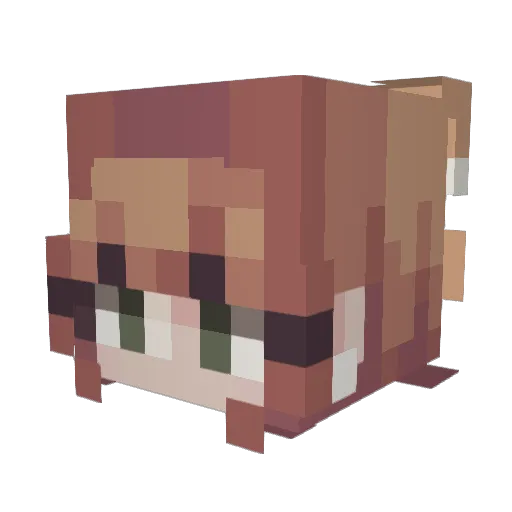 flowers4seon Minecraft avatar head, 3D render