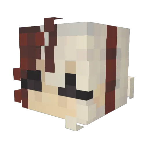 flowersak Minecraft avatar head, 3D render