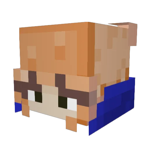flowerskittle Minecraft avatar head, 3D render