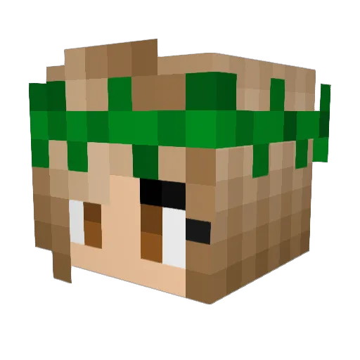 flowerslullaby Minecraft avatar head, 3D render