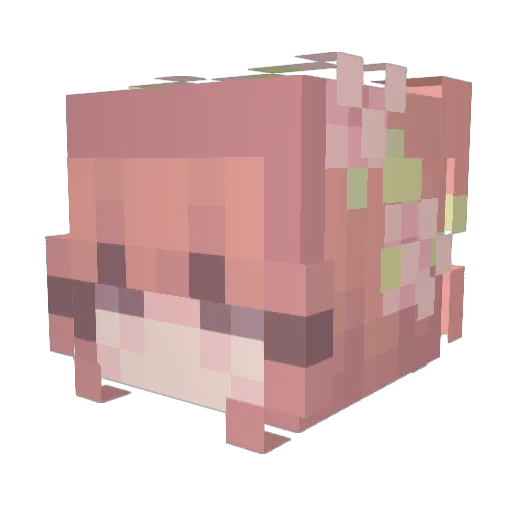 flowerzoop Minecraft avatar head, 3D render
