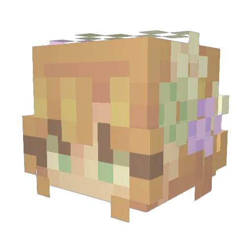 flowey1011 Minecraft avatar head, 3D render