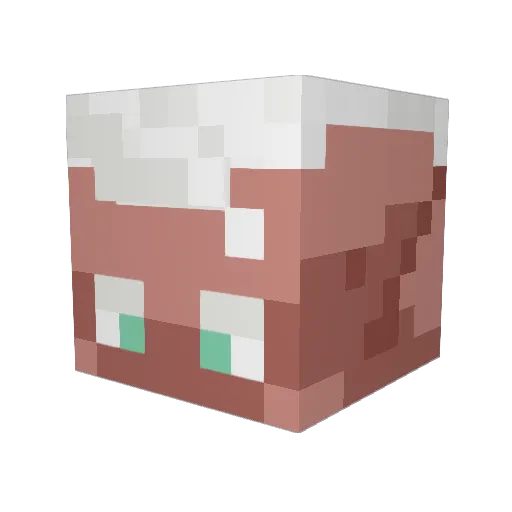 floweyfai Minecraft avatar head, 3D render