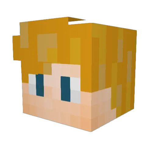 flowflops Minecraft avatar head, 3D render