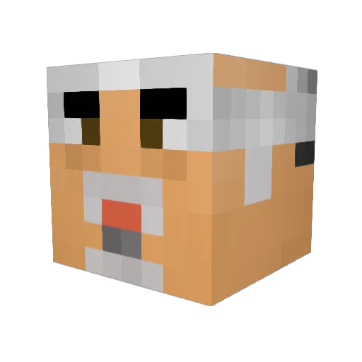flowflow_510 Minecraft avatar head, 3D render