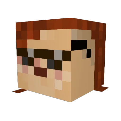 flowti Minecraft avatar head, 3D render